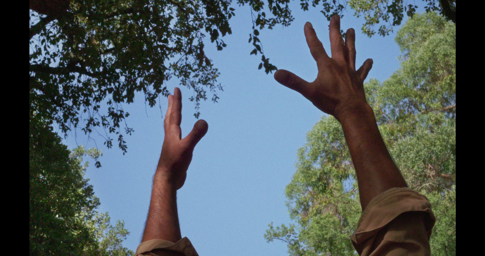 1.-Fogo-do-Vento-(Fuego-de-viento)_STILL-1