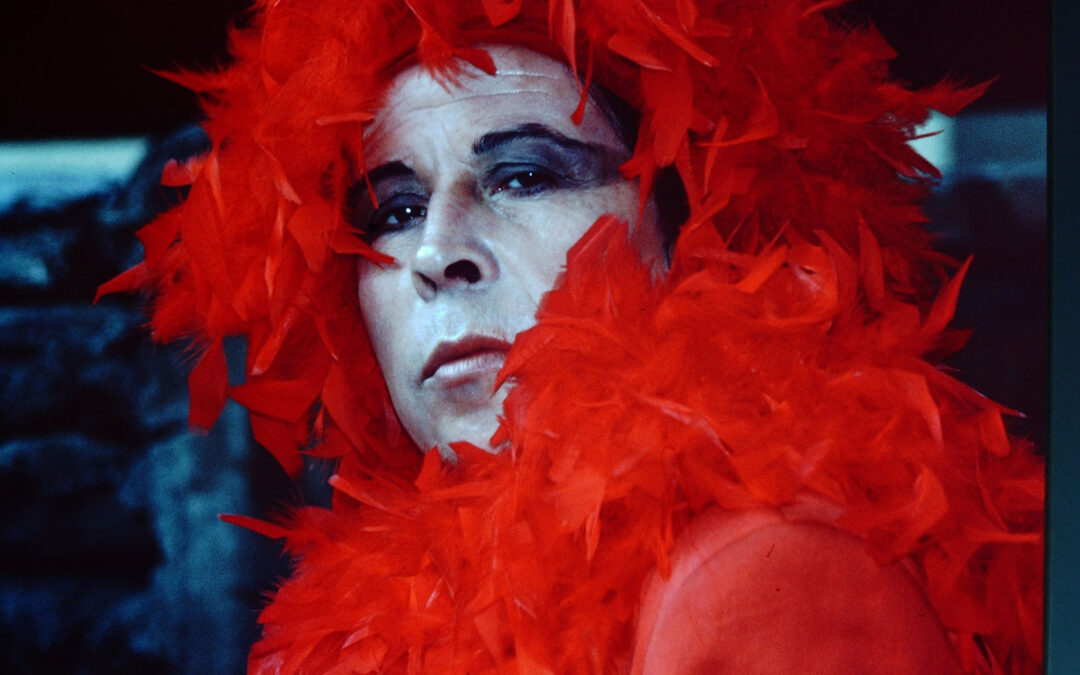 Pedro Lemebel y Mon Laferte: poetas sin fronterasJoanna Reposi