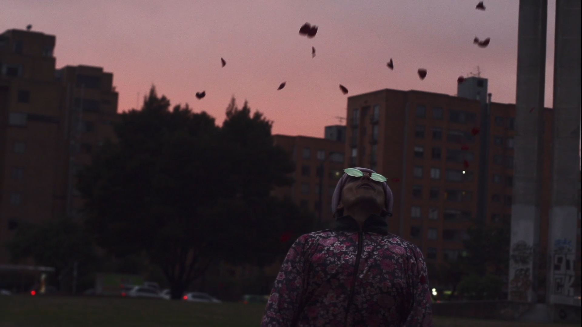 2. De Gris a POSITHIVO