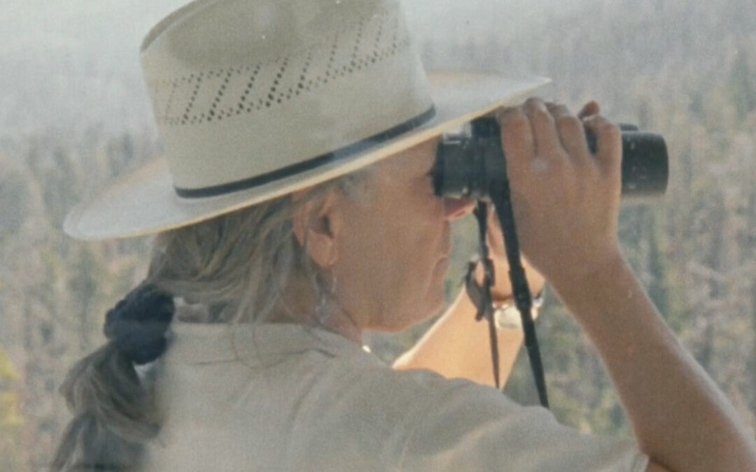 Lo difuso como forma cinematográficaReseña de In the manner of smokeDiana Prada