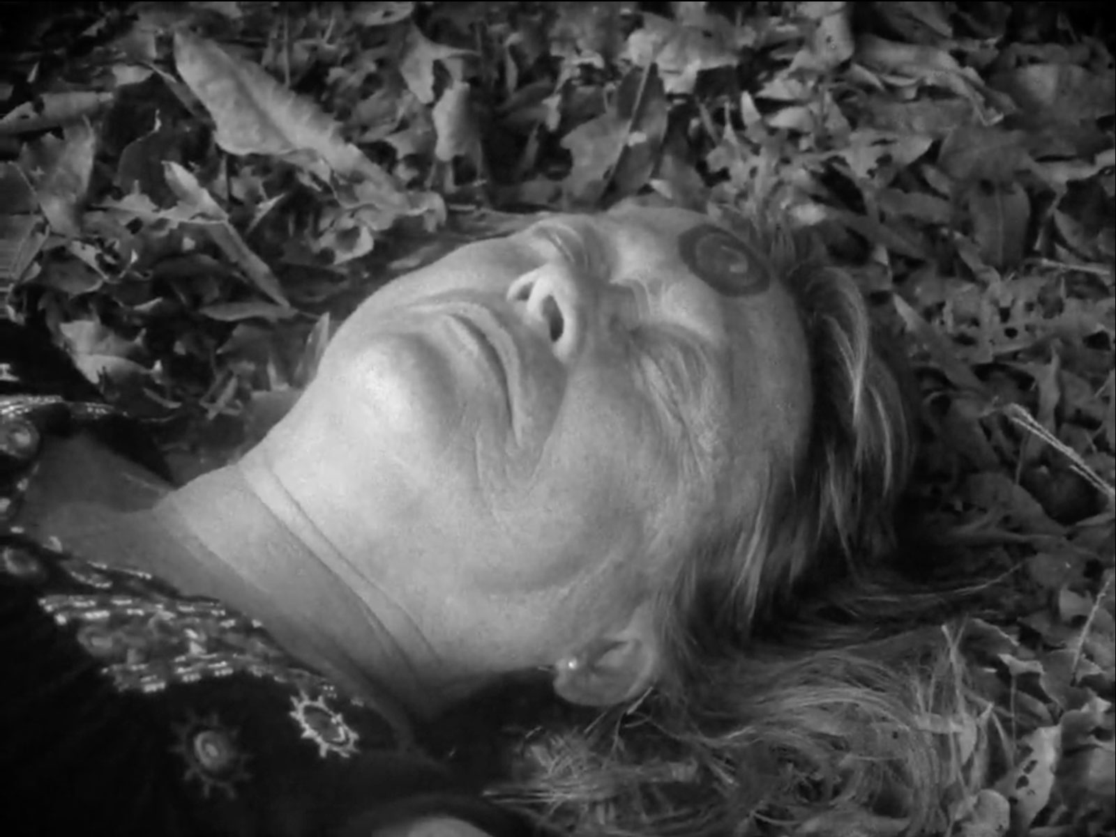 4.-Black-Beach_Horse_Camp_The-Dead-Forces--(Beatriz-Santiago-Muñoz,-2016)