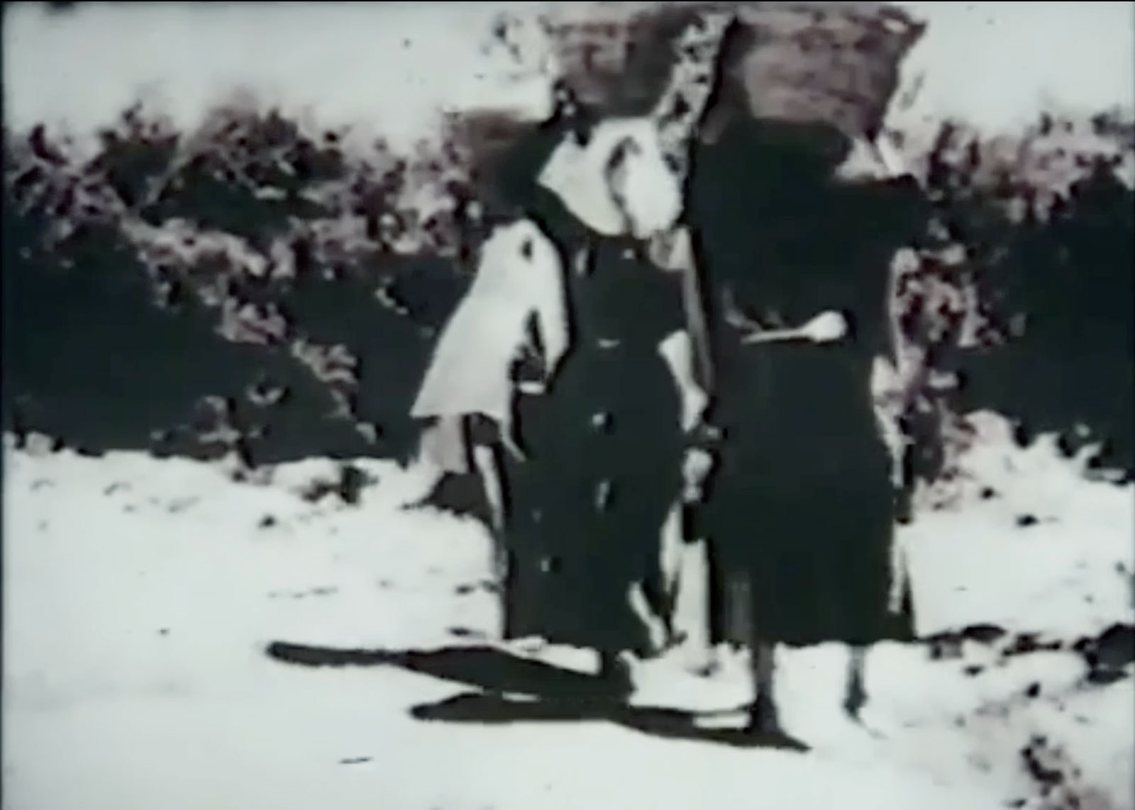 Palestina_1